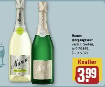 REWE Mumm Jahrgangssekt 0,75-l-Fl. Angebot