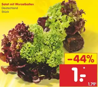 Netto Marken-Discount Salat mit Wurzelballen Angebot