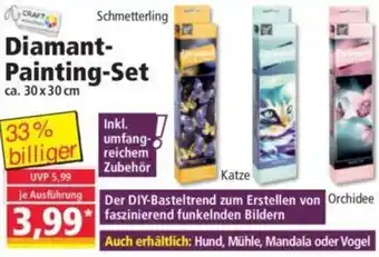 Norma Diamant Painting Set Angebot