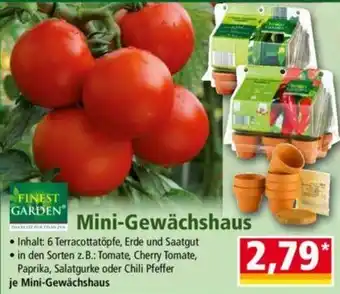 Norma FINEST GARDEN Mini-Gewächshaus Angebot