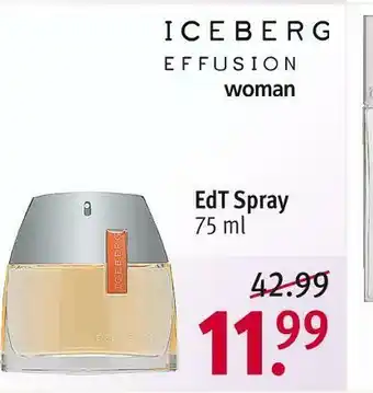 Rossmann Iceberg effusion edt spray Angebot