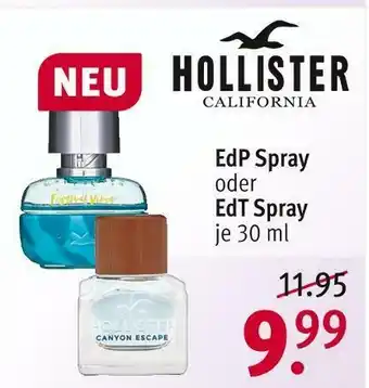 Rossmann Hollister california edp spray oder edt spray Angebot