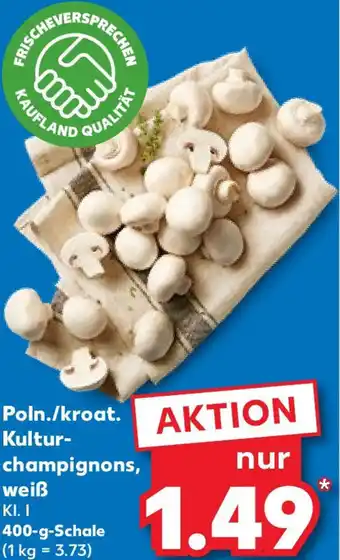 Kaufland Poln./kroat. Kultur- champignons, weiß 400 g Schale Angebot