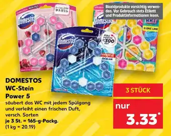 Kaufland DOMESTOS WC-Stein Power 5 165 g Packg. Angebot