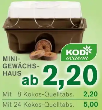 KODi MINI-GEWÄCHSHAUS Angebot