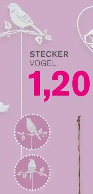 KODi STECKER VOGEL Angebot