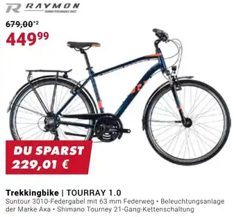 Fahrrad XXL RAYMON Trekkingbike | TOURRAY 1.0 Angebot