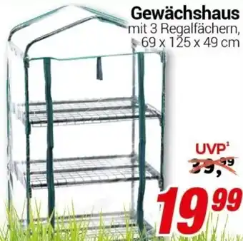 CENTERSHOP Gewächshaus Angebot