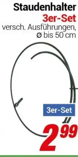 CENTERSHOP Staudenhalter 3er-Set Angebot