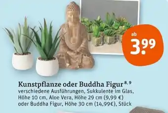 tegut Kunstpflanze oder Buddha Figur 8,9 Angebot