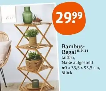 tegut Bambus-Regal 8,9,11 Angebot