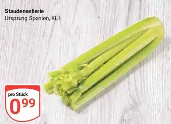 Globus Staudensellerie Angebot