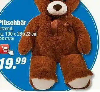 Poco Plüschbär Angebot