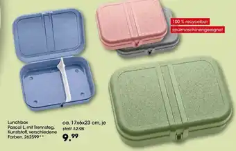 Möbel Martin Lunchbox Angebot