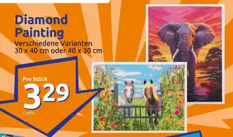 Action Diamond Painting 30*40/40*30 Angebot