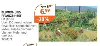 Müller BLUMEN- UND PFLANZEN-SET HO Angebot