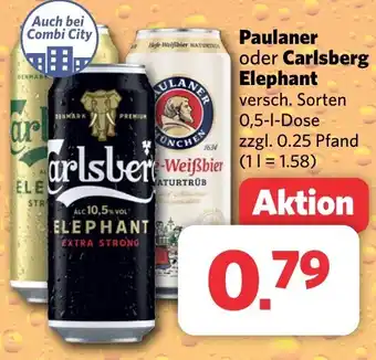 Combi Paulaner oder Carlsberg Elephant 0,5-l-Dose Angebot