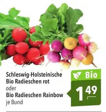 CITTI Markt Schleswig Holsteinische Bio Radieschen rot oder Bio Radieschen Rainbow Angebot