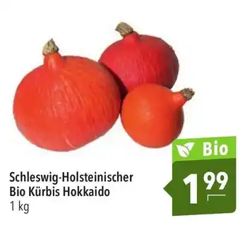 CITTI Markt Schleswig Holsteinischer Bio Kürbis Hokkaido 1kg Angebot