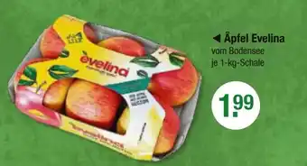 V Markt Äpfel Evelina 1 kg Schale Angebot