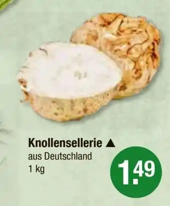 V Markt Knollensellerie 1 kg Angebot