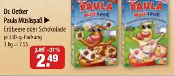 V Markt Dr. Oetker Paula Müslispaß 330 g Packung Angebot