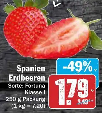 AEZ Spanien Erdbeeren 250 g Packung Angebot