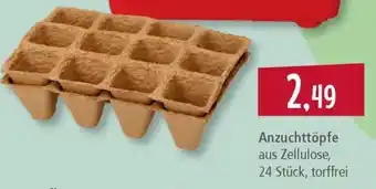 Pfennigpfeiffer Anzuchttöpfe Angebot