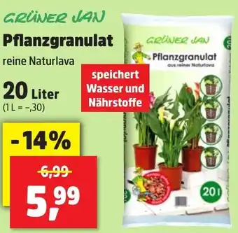 Thomas Philipps GRÜNER JAN Pflanzgranulat 20 Liter Angebot