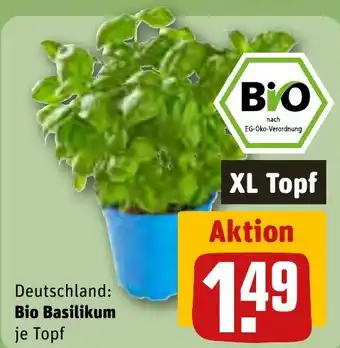 REWE Bio Basilikum je Topf Angebot