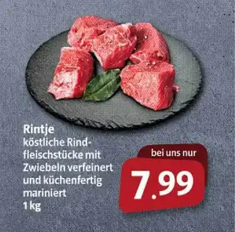 Markant Markt Rintje Angebot