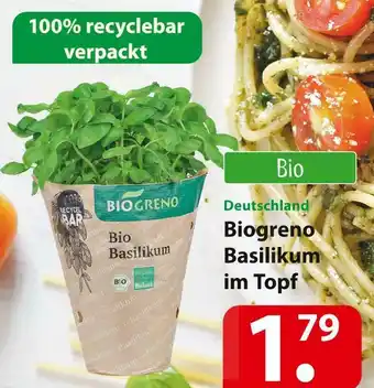 Famila Nord Ost Biogreno basilikum im topf Angebot