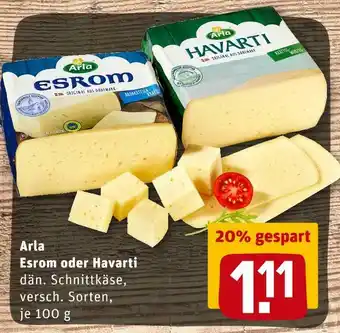 REWE Arla esrom oder havarti Angebot