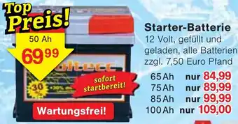 Wiglo Wunderland Starter-Batterie 50 Ah Angebot