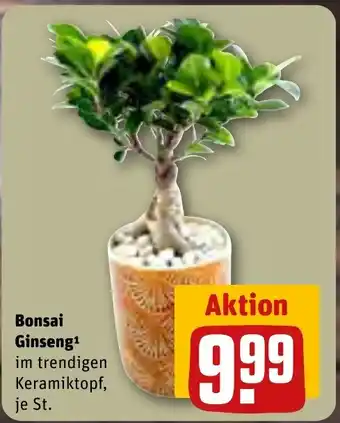 REWE Bonsai Ginseng Angebot