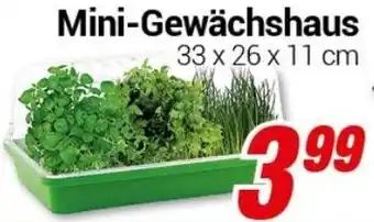 CENTERSHOP Mini-Gewächshaus Angebot