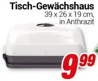 CENTERSHOP Tisch-Gewächshaus Angebot