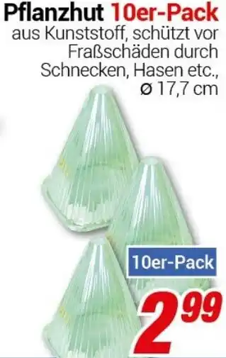 CENTERSHOP Pflanzhut 10er-Pack Angebot