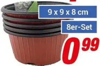 CENTERSHOP Anzuchttopf 8er-Set Angebot