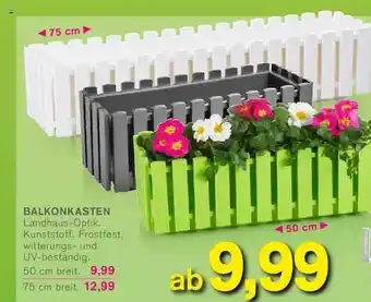 KODi Balkonkasten Angebot