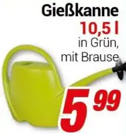 CENTERSHOP Gießkanne 10,5 L Angebot