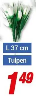 CENTERSHOP Tulpen L 37 cm Angebot