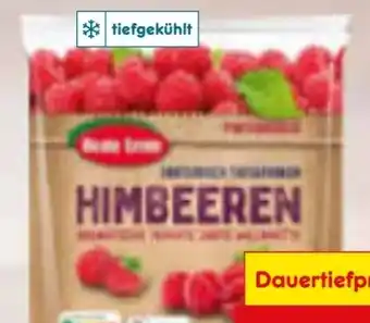 Netto Marken-Discount Himbeeren tiefgekühlt Angebot