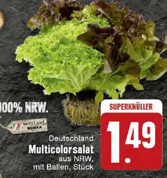 Edeka Deutschland Multicolorsalat Angebot