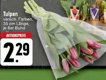 Edeka Tulpen 35 cm Angebot