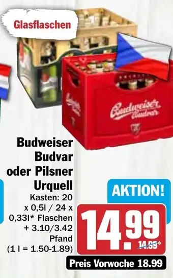 Hit Budweiser Budvar oder Pilsner Urquell Kasten 20 x  0,33 l Flaschen Angebot