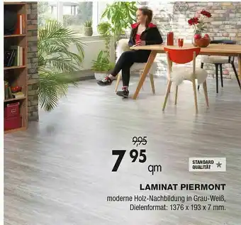 TTL Laminat Piermont Angebot