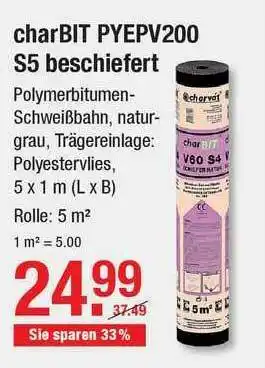 V Baumarkt Charbit Pyepv200 S5 Beschiefert Angebot