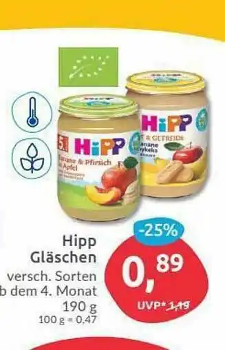 Budni Hipp Gläschen Angebot