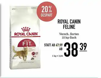 Kölle Zoo Royal Canin Feline Angebot